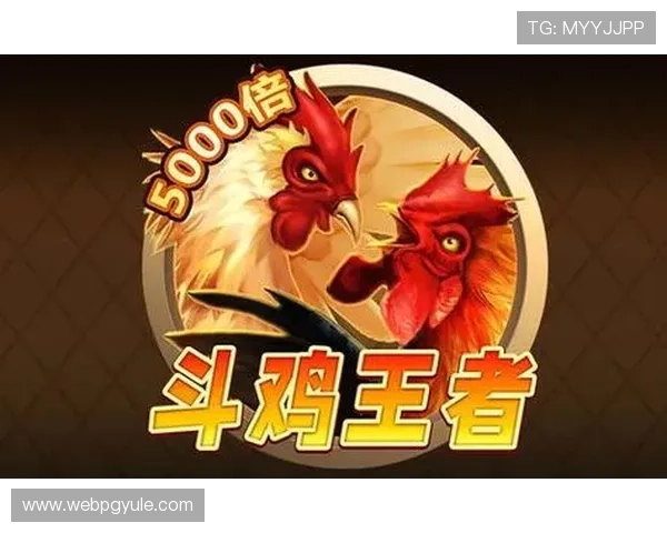 PG电子手机网址最新登录入口,安全稳定的游戏平台推荐