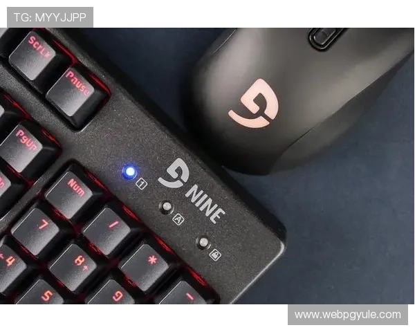 详细介绍pg娱乐手机登录入口的多种登录方式，满足不同用户需求